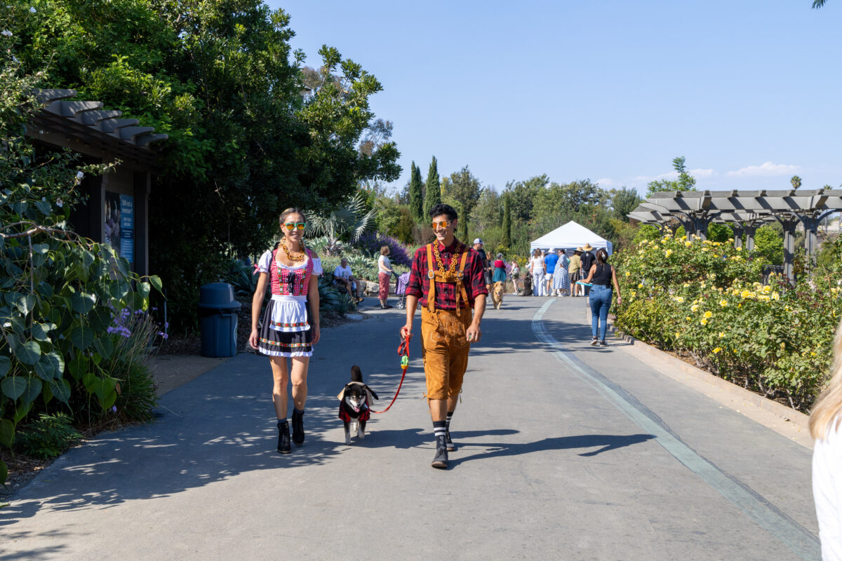 Your Guide to October 2025 in Los Angeles