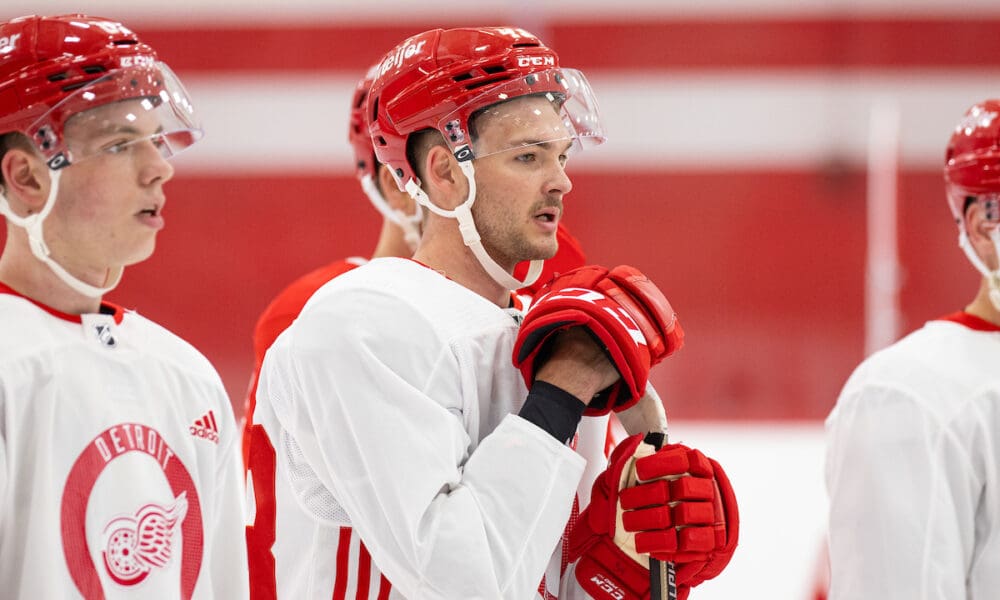 Carter Mazur, Red Wings prospect