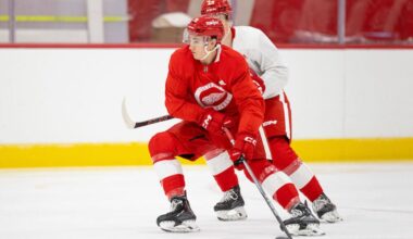 Amadeus Lombardi, Red Wings prospect