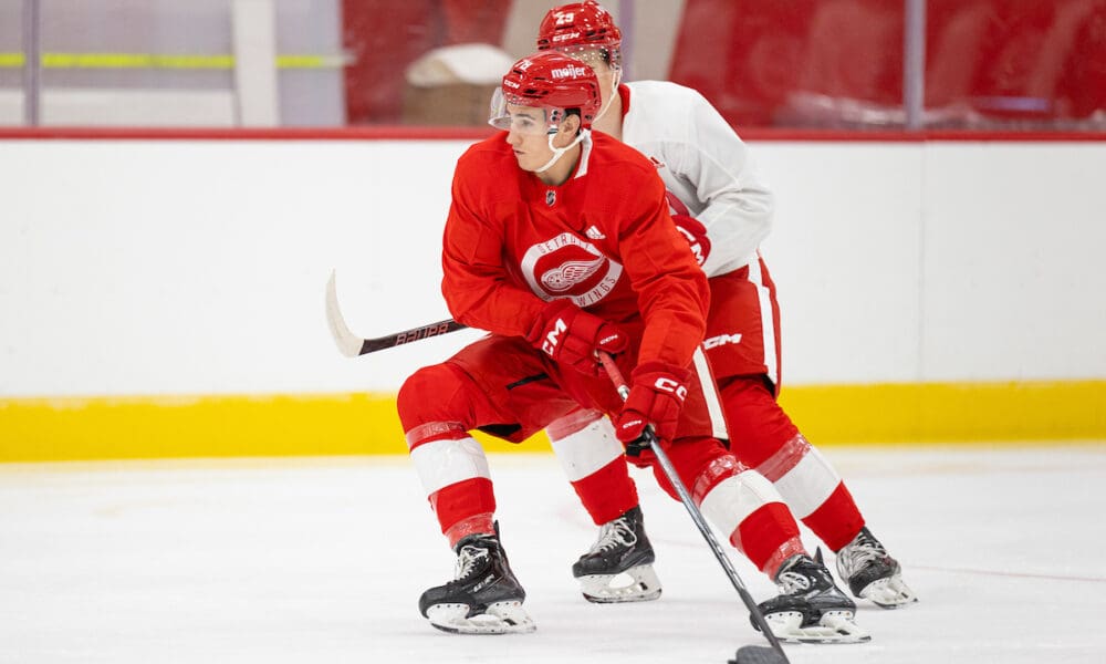 Amadeus Lombardi, Red Wings prospect