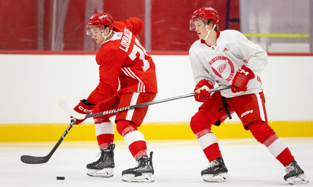 Amadeus Lombardi, Nate Danielson, Red Wings prospects