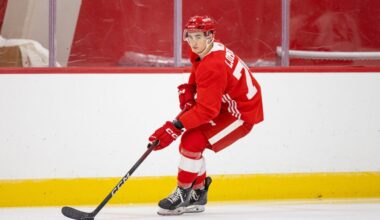 Amadeus Lombardi,, Red Wings prospect