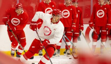 Shai Buium, Red Wings prospect