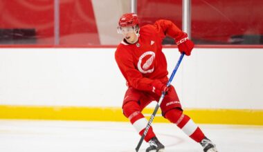 Anton Johansson, Red Wings prospect