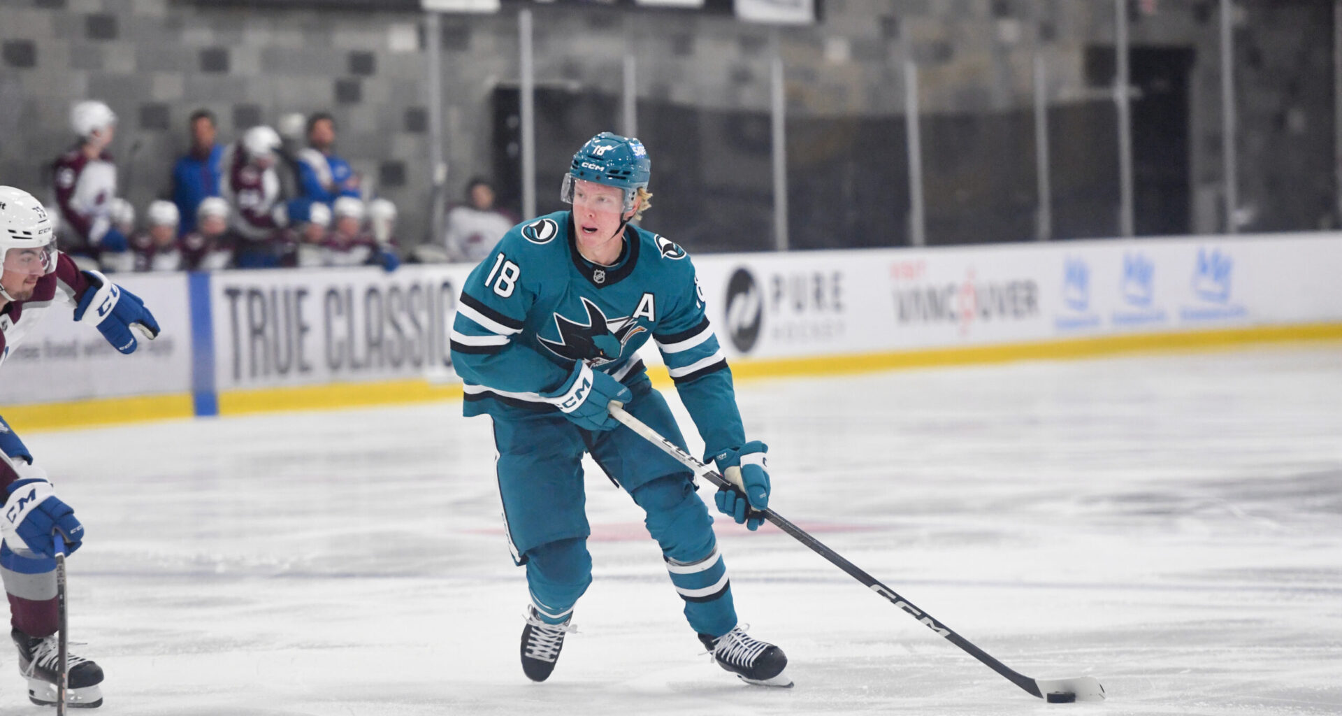 5 Most Interesting Players on San Jose Sharks' Training Camp Roster - The Hockey Writers -