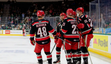 The Red Wings Have An Amadeus Lombardi Problem