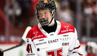 Wild Blueline Prospect Theodor Hallquisth Has Top-4 Potential - Minnesota Wild