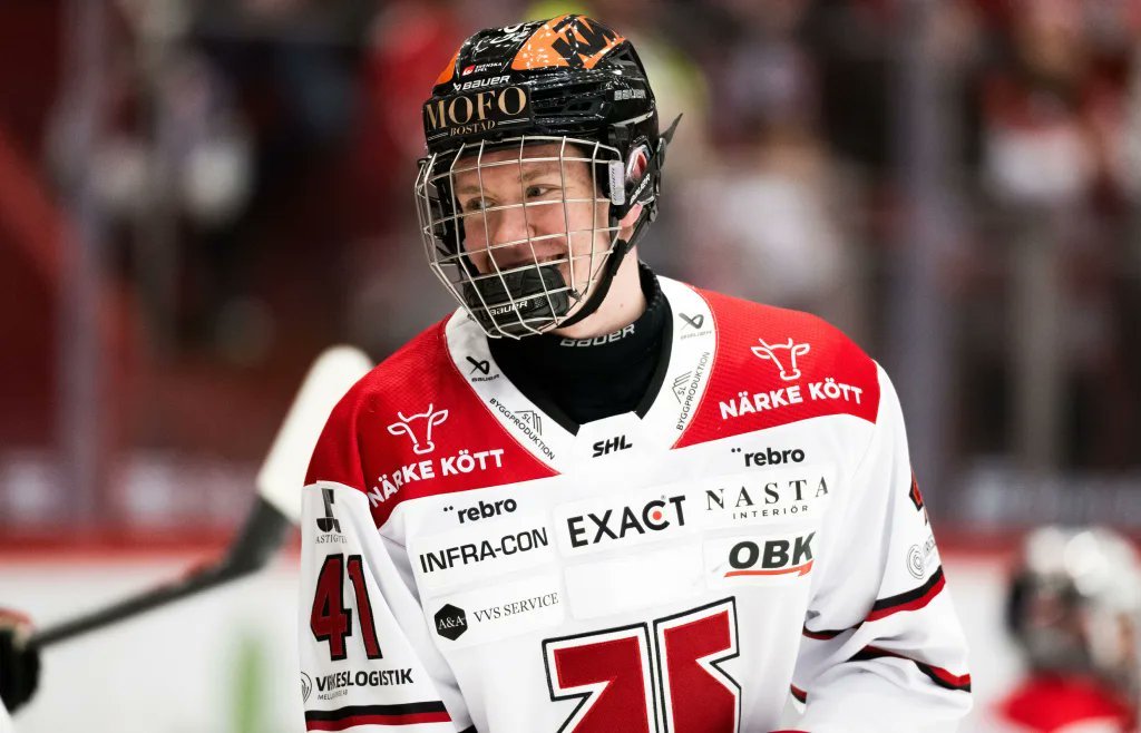 Wild Blueline Prospect Theodor Hallquisth Has Top-4 Potential - Minnesota Wild