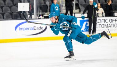 San Jose Sharks prospect Igor Chernyshov