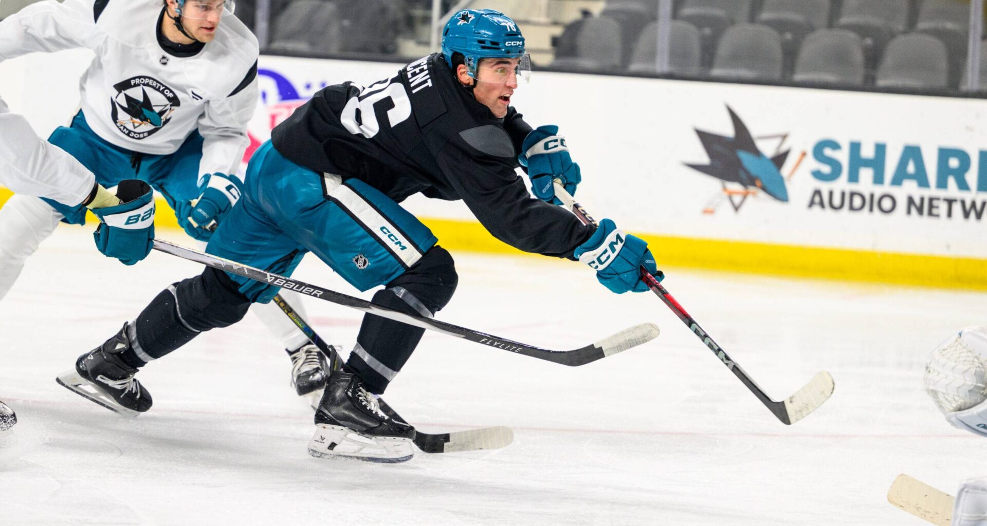 San Jose Sharks forward Anthony Vincent