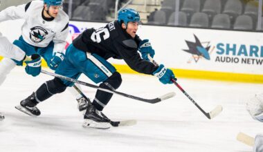 San Jose Sharks forward Anthony Vincent