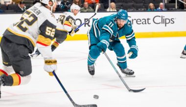 San Jose Sharks forward Egor Afanasyev