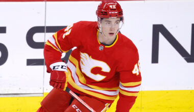 Honzek returns to Flames' prospects camp stronger, more motivated
