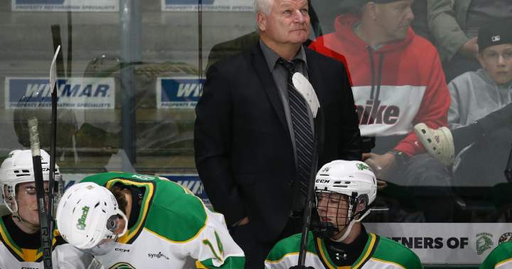 London Knights win back-to-back games against Sarnia to open the pre-season - London