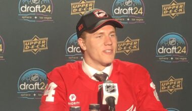 Michael Brandsegg-Nygard, Red Wings