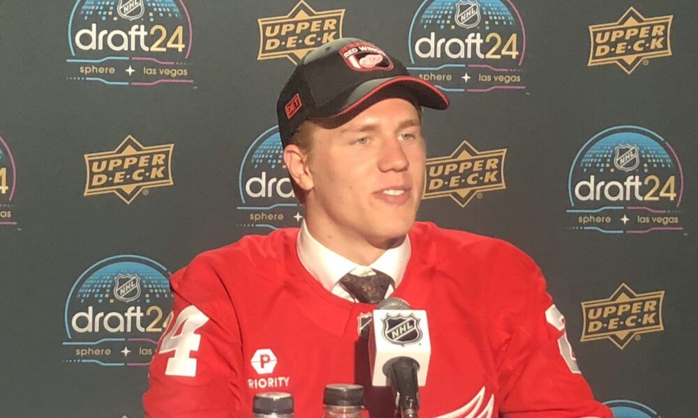 Michael Brandsegg-Nygard, Red Wings