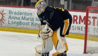 The Arty Party; Penguins Goalie Silov's 'Final Opportunity'
