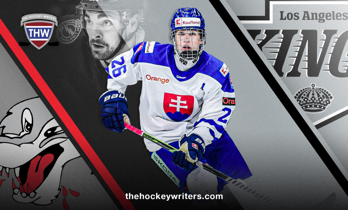 Jan Chovan, Sudbury Wolfs, LA Kings, Nick Paul