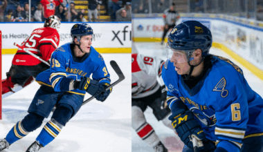 Springfield Thunderbirds | Blues Assign Matt Luff, Corey Schueneman…