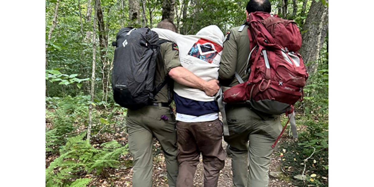 NY forest rangers rescue hikers tripping on psychedelic mushrooms