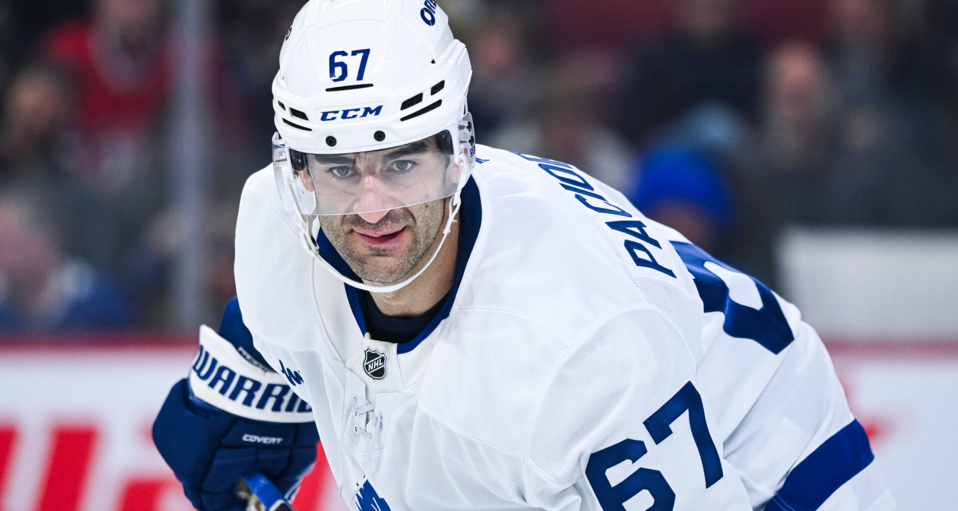 Maple Leafs News & Rumours: Robertson’s Fight, Pacioretty’s Fit & Cowan’s Challenge - The Hockey Writers - Toronto Maple Leafs