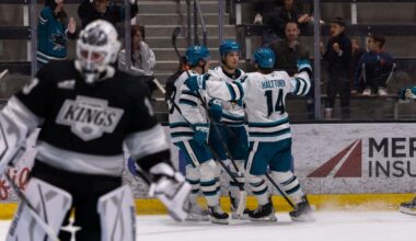 What Did NHL Scouts Think of Misa's Rookie Faceoff Performance?