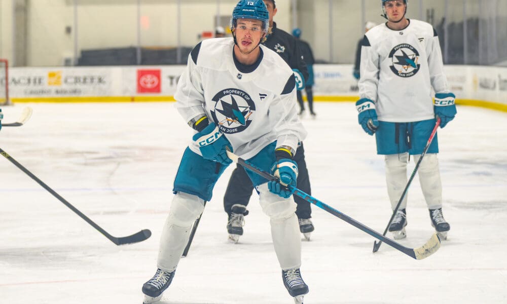 How Are Sharks Prospects Musty, Halttunen, Lund & Graf Better Players Now?