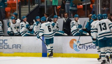 San Jose Sharks defenseman Sam Dickinson