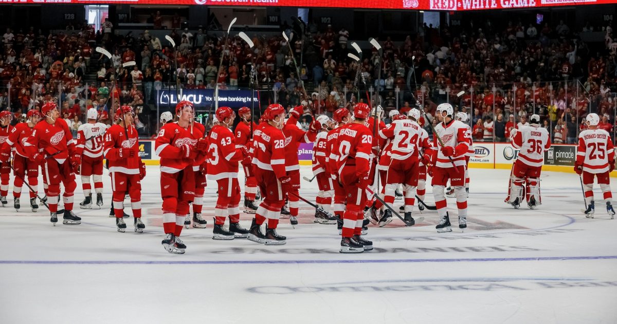 Grand Rapids Griffins | Hockeytown West