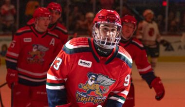 Red Wings prospects dominate Dallas Stars