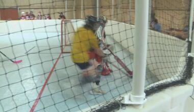 Blues hosting ball hockey clinic