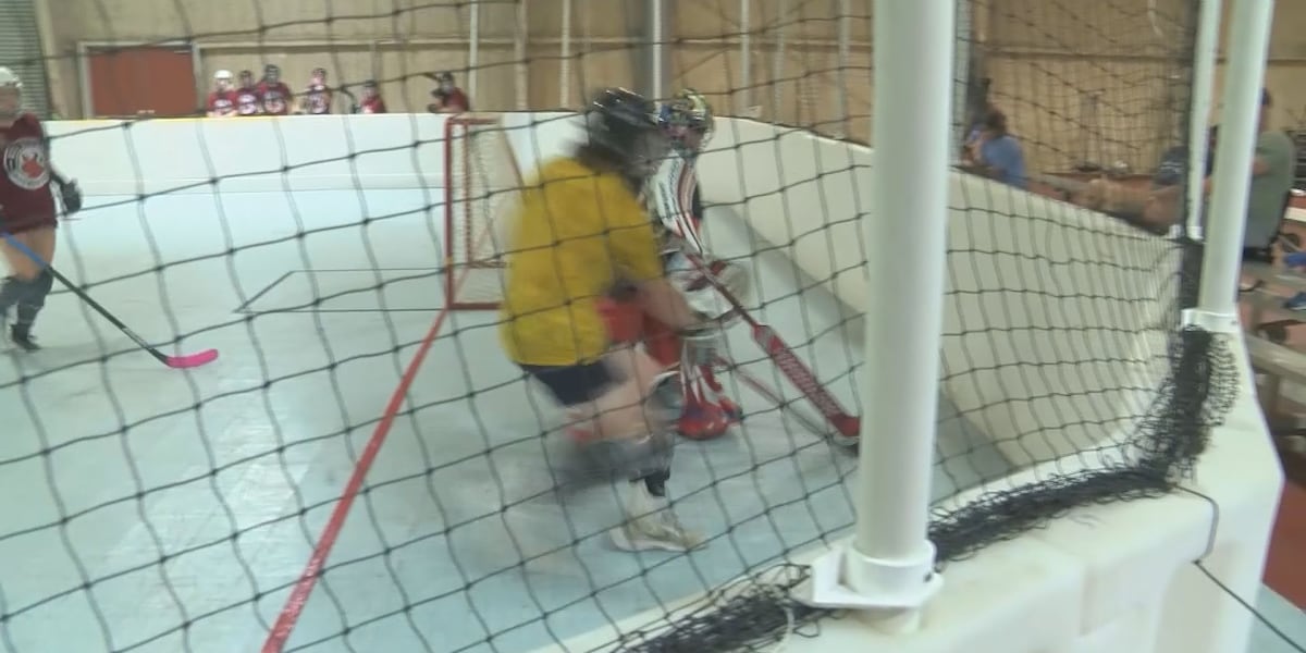 Blues hosting ball hockey clinic