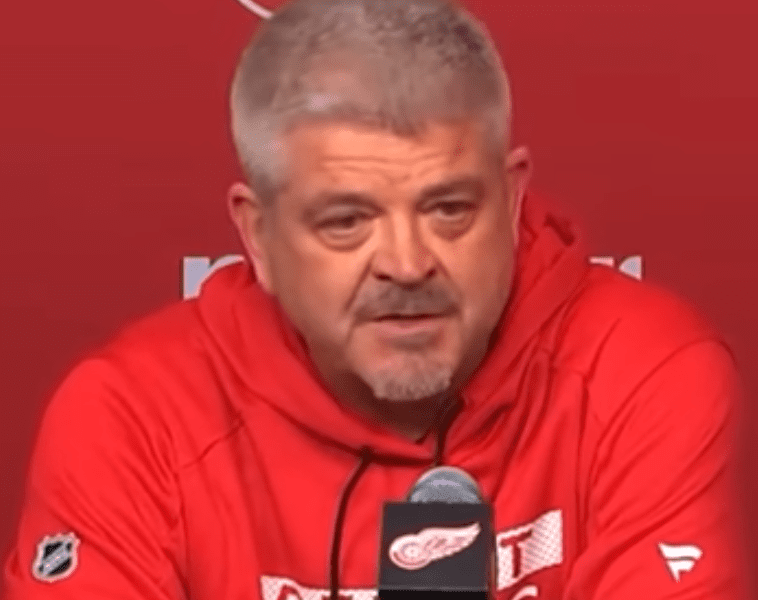 Todd McLellan, Red Wings