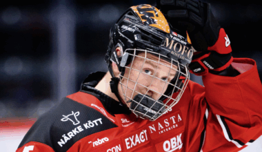 Theodor Hallquisth Should Factor Into Minnesota's Plans As A Right-Side Defenseman - Minnesota Wild