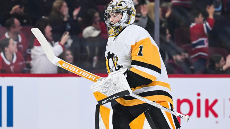 Pittsburgh Penguins goalie Sergei Murashov