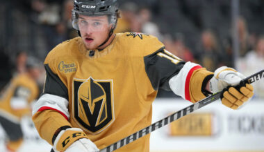 Blues' Zach Dean Enters NHL/NHLPA Player Assistance Program