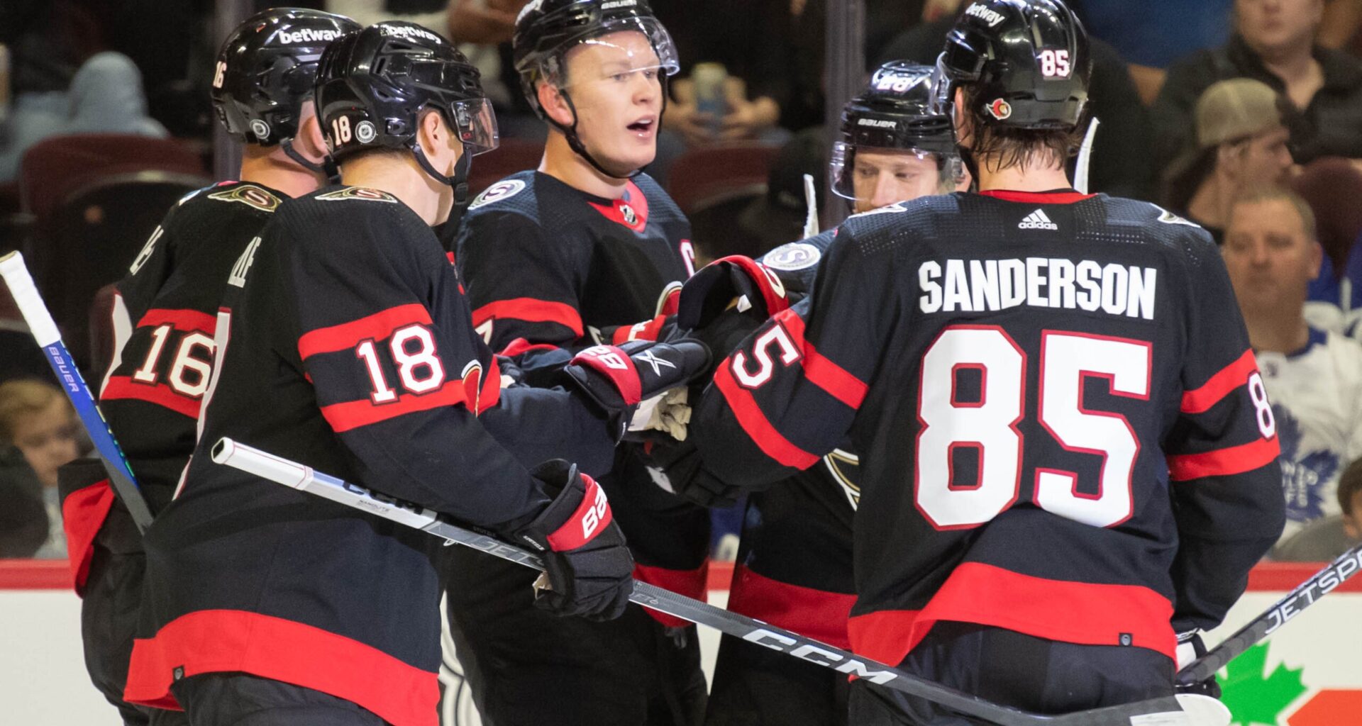 Today We Check Out the Ottawa Senators and What to Expect