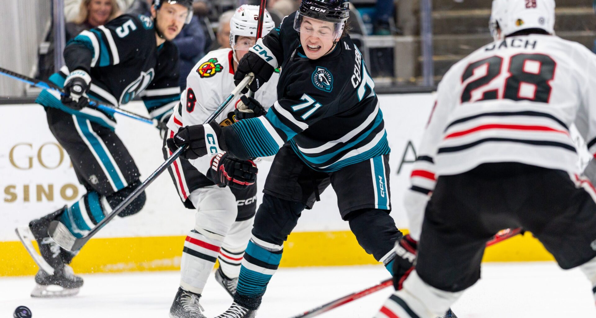 We Expect Celebrini to Have a Big Year for the Sharks in '25-26