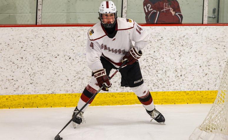 How some Connecticut preps are about to transform fall hockey