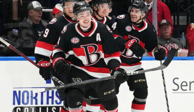 Ottawa Senators sign restricted free agent defenceman to one-year deal