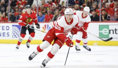 Red Wings' Nate Danielson Out Indefinitely Among Injury Updates
