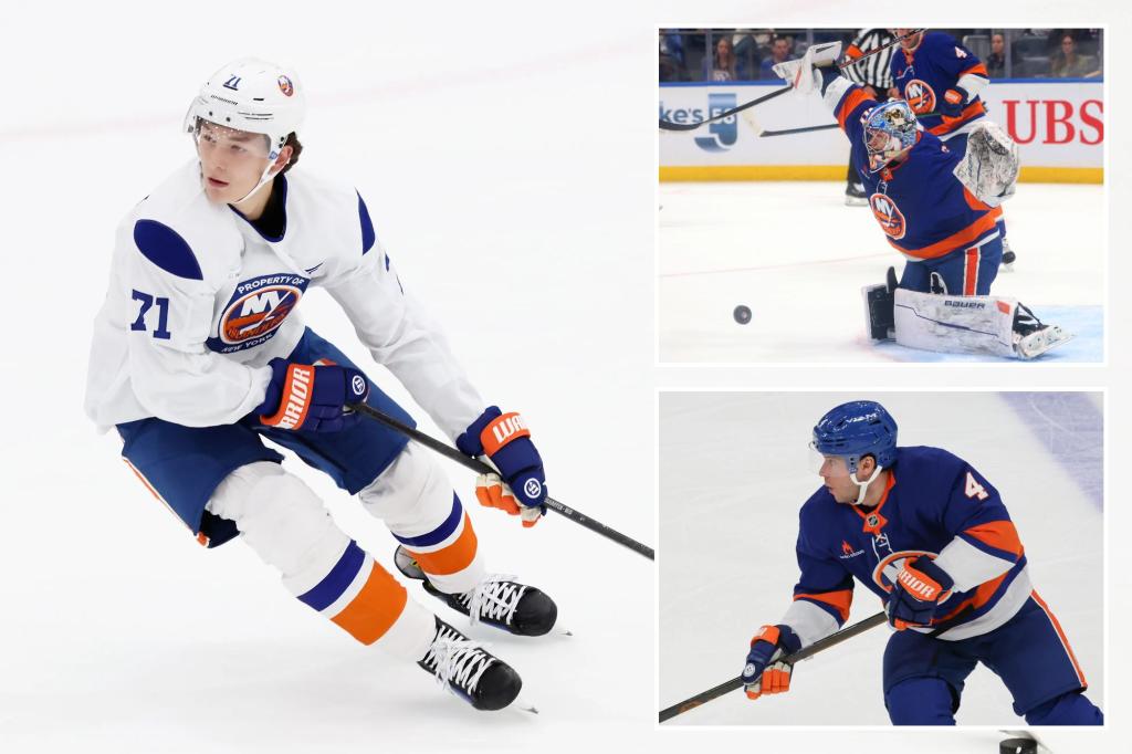 The most important stat for every player on Islanders defense