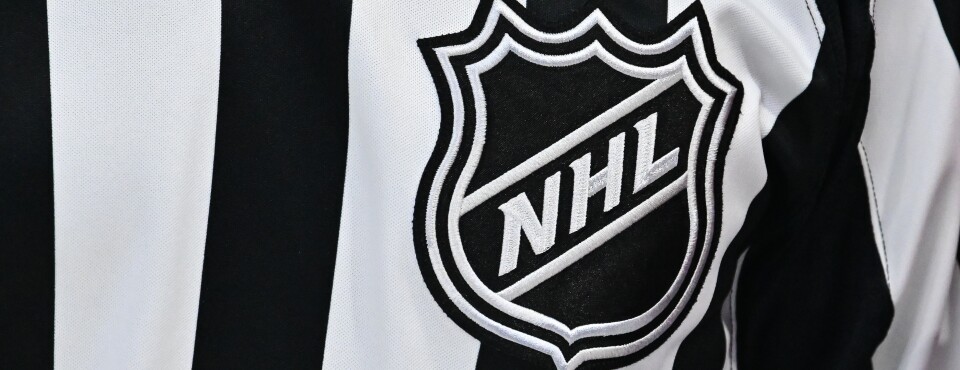 NHL Likely to Defeat Video-Privacy Suit Over Use of Meta Pixel