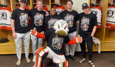 Local artist captures the spirit of Anaheim for Ducks