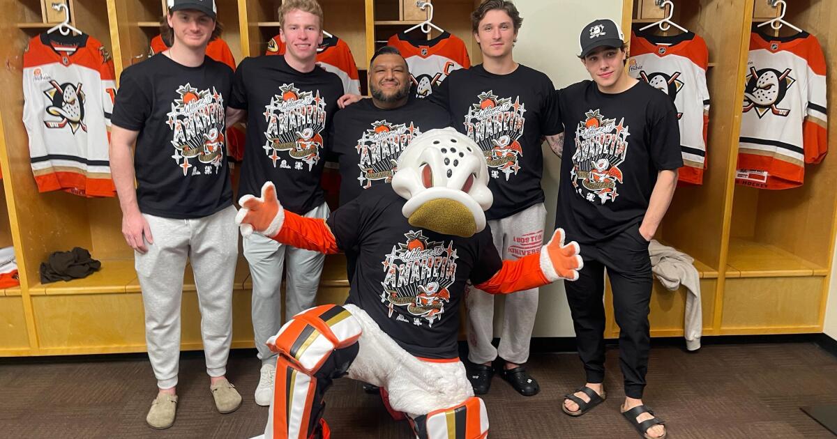 Local artist captures the spirit of Anaheim for Ducks