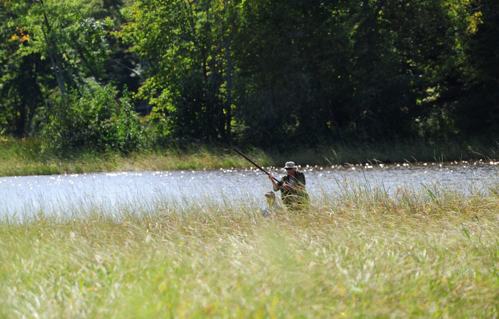 Minnesota Opinion: Minnesota's wild rice standard demands compromise - West Central Tribune