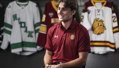 Former UMD captain James says he is signing with Tampa Bay - Duluth News Tribune