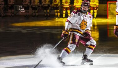 Where are the Bulldogs who hit the transfer portal playing now? - Duluth News Tribune