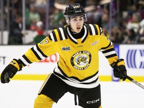 Sarnia Sting's Alessandro Di Iorio (17) plays against the London Knights at Progressive Auto Sales Arena in Sarnia, Ont., on Sunday, March 9, 2025. Mark Malone/Chatham Daily News/Postmedia Network