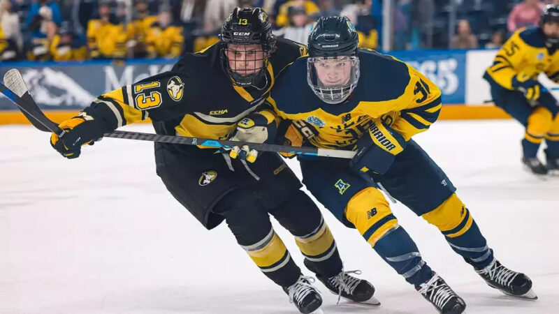 Huskies hockey earns split in Alaska | News, Sports, Jobs